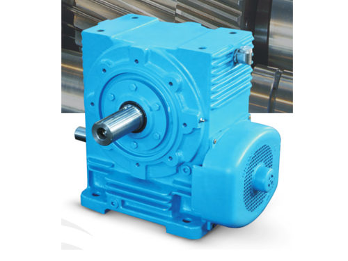 Worm Reduction Gear Boxes-Elecon